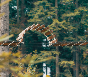 Park Linowy w Ptaszkowej – sport, adrenalina i zabawa w Gminie Grybów!