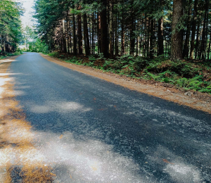 Ponad 2,5 kilometra dróg z nową nawierzchnią w Wyskitnej, Polnej i Ptaszkowej 