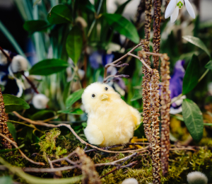 Święto tradycji i lokalnej kultury - XII Przegląd Kół Gospodyń Wiejskich Gminy Grybów